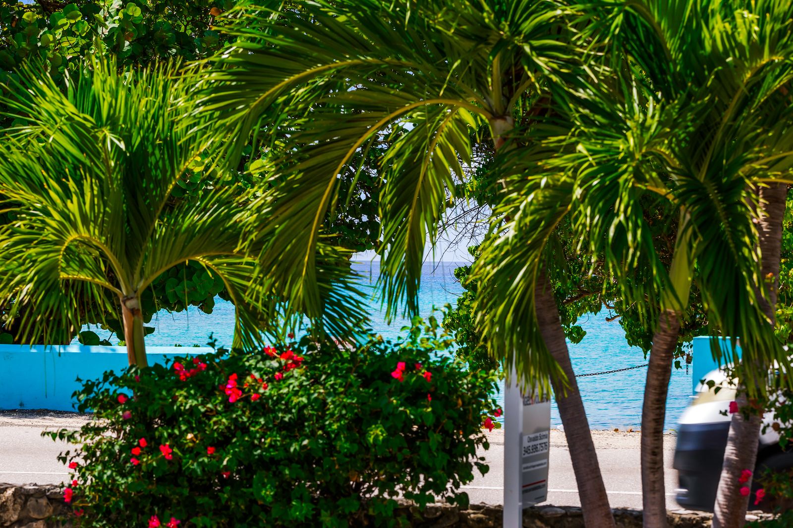 The sea through the palms — Calypso Cove 6, Palm Bay Getaways, Grand Cayman
