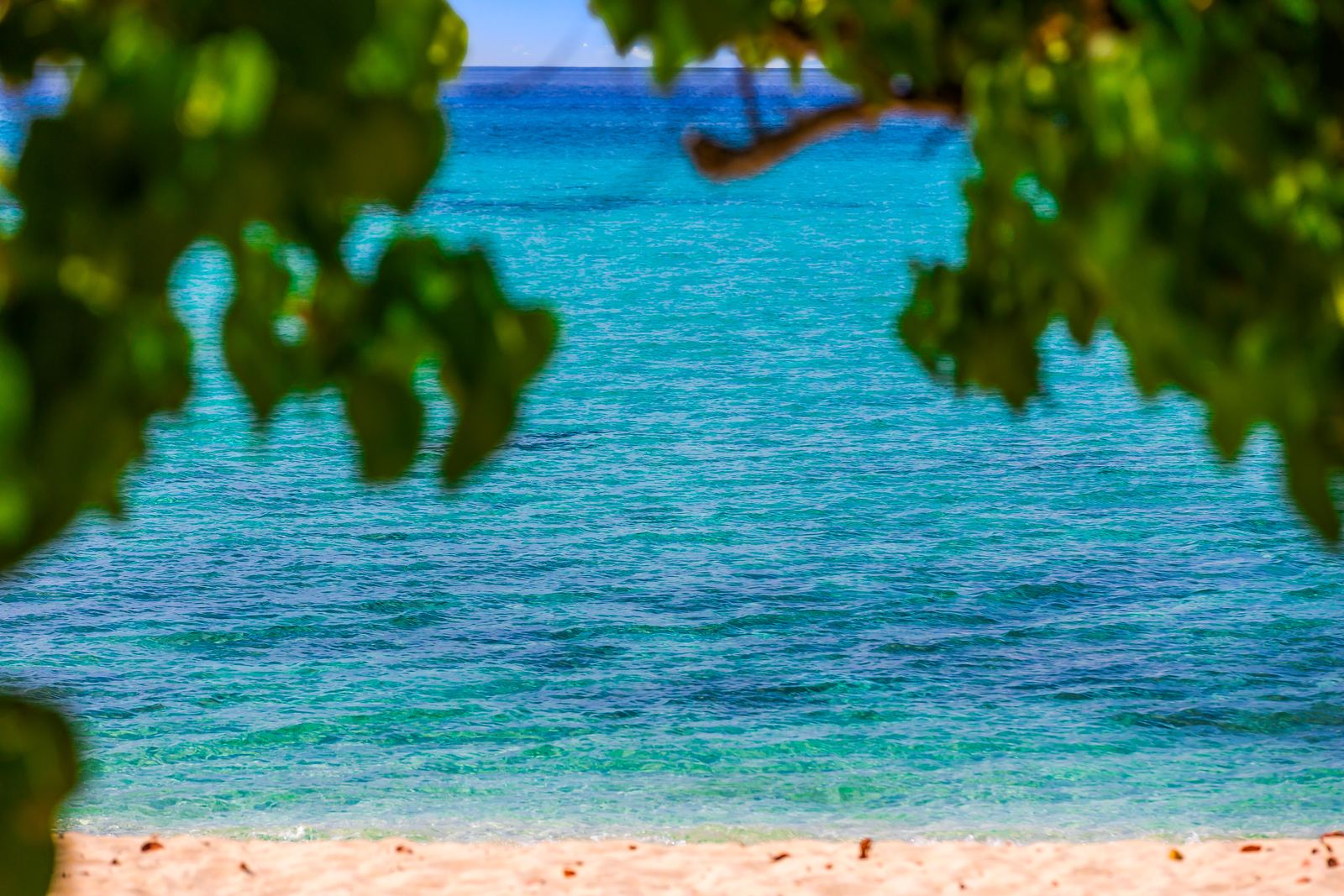 The water through the sea grape — Calypso Cove 6, Palm Bay Getaways, Grand Cayman